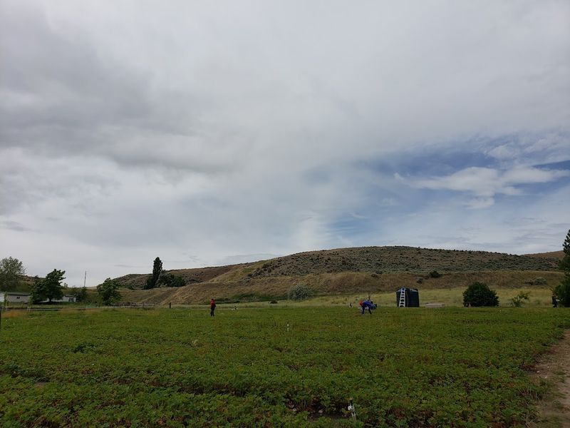 Organic Farming At Its Finest
