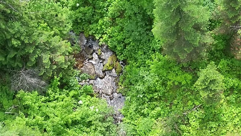 The Rushing Rivers And Creeks Running Below