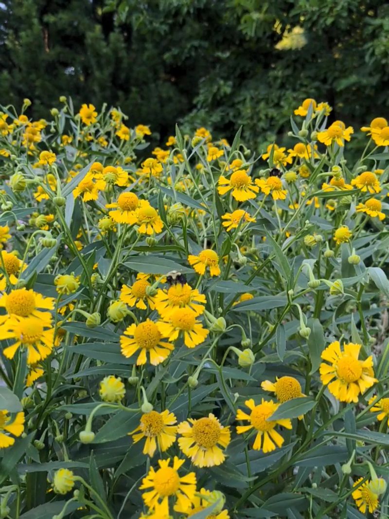 What Makes The Gardens Feel Special