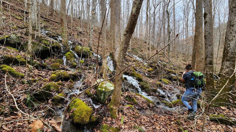 How Hard Is This Hike Really