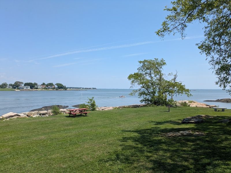 Why Chaffinch Island Feels Like A Local Secret