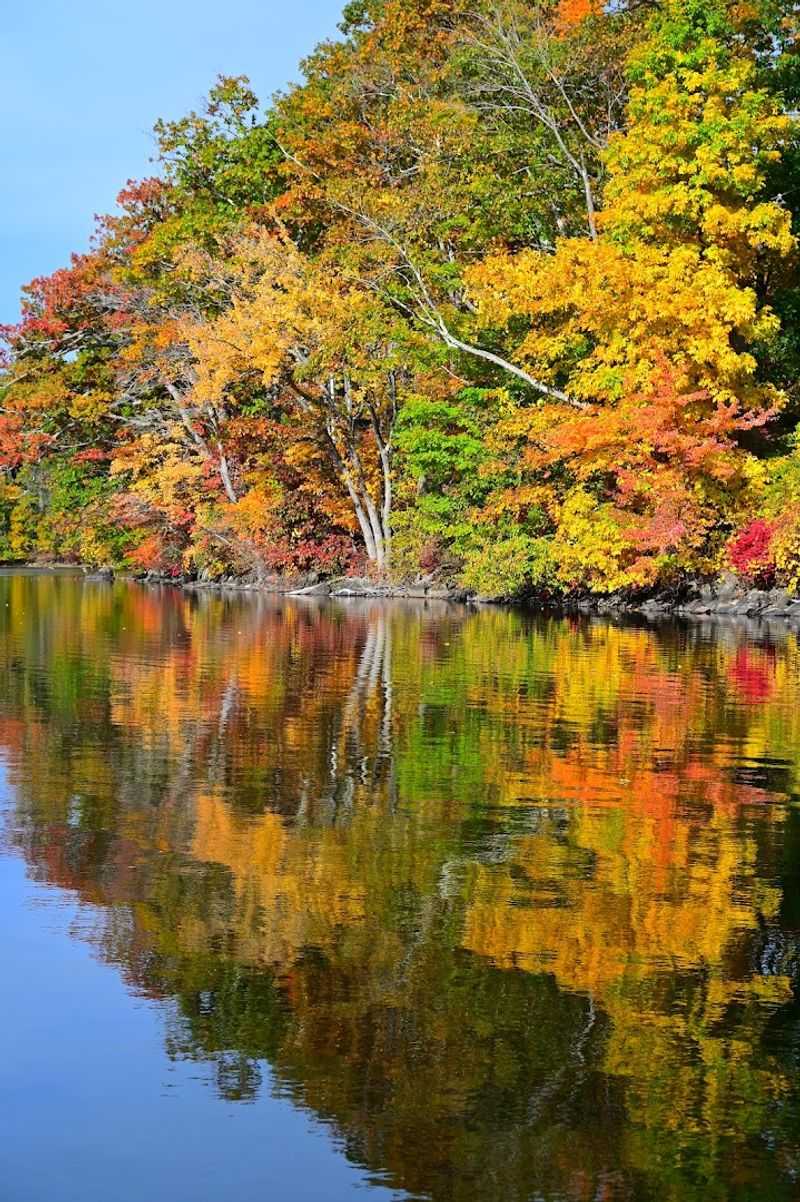 When Fall Reflections Steal The Show