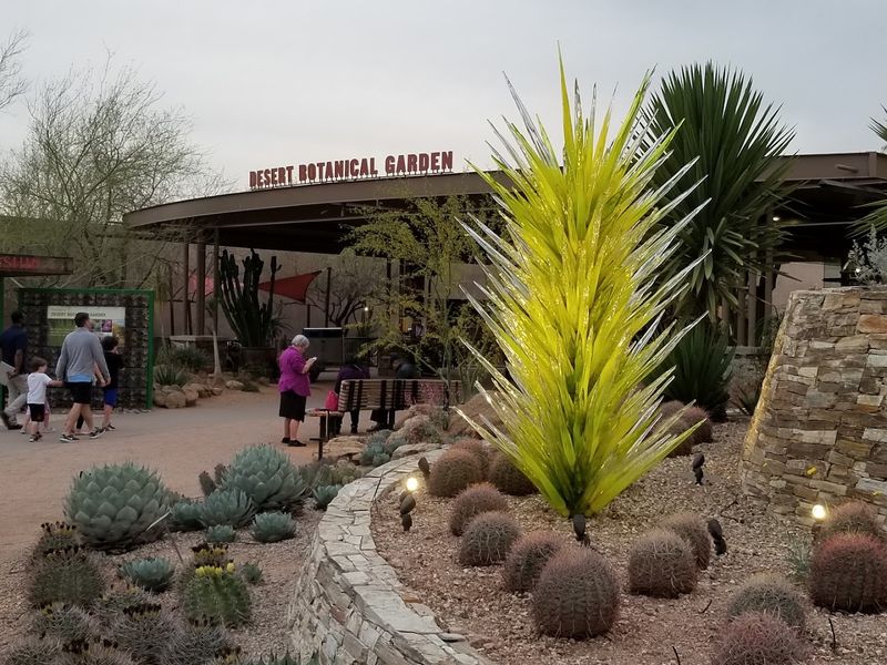 The Plants Of The Sonoran Desert Trail