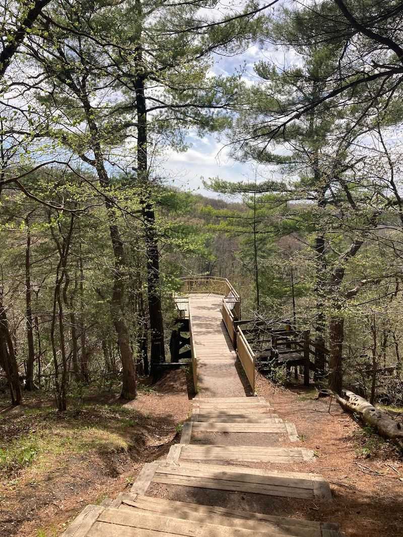 The Trail System That Rewards You