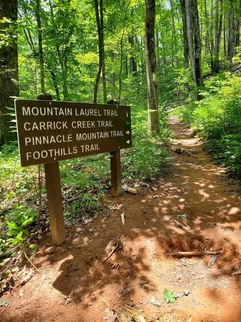 The Trails That Make You Breathe Differently