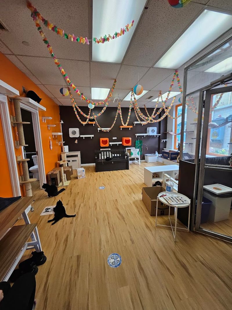 Why This New Haven Spot Feels So Warm And Relaxing