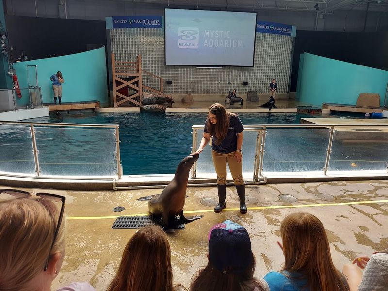 How Interactive Experiences Bring The Ocean To Life