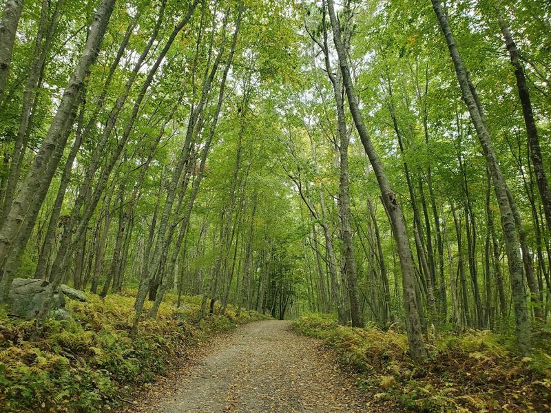 Bluff Point State Park Loop, Groton