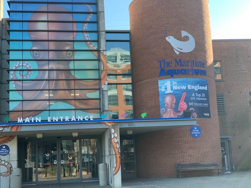 The Maritime Aquarium At Norwalk, Norwalk