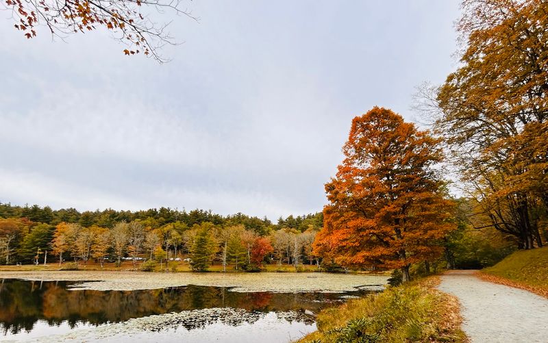 Why This Short Hike Stays With You