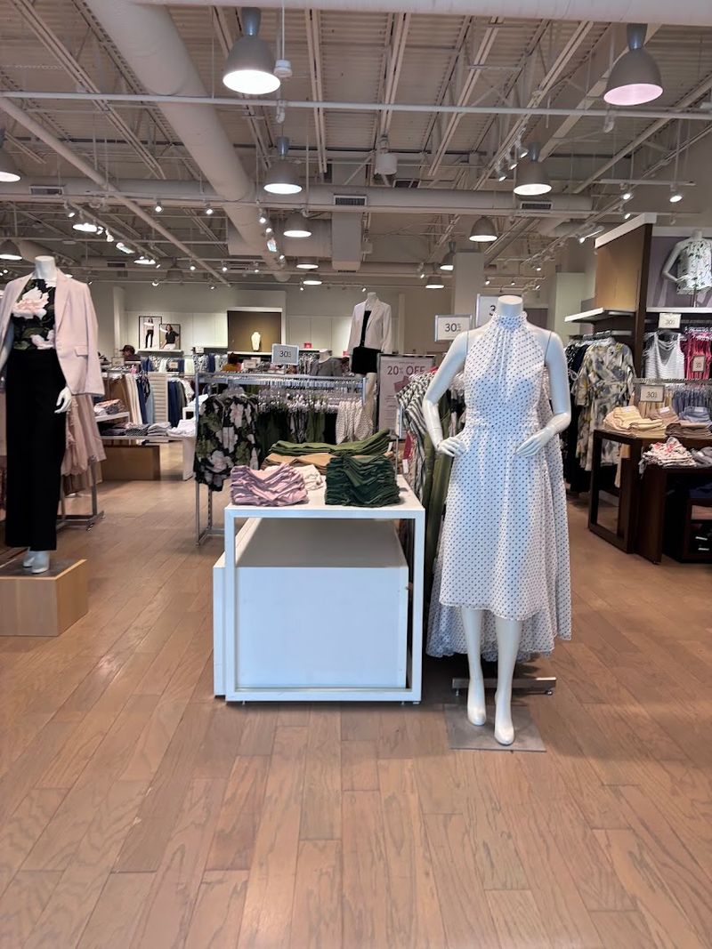 Seasonal Sales And Special Offers Worth Watching