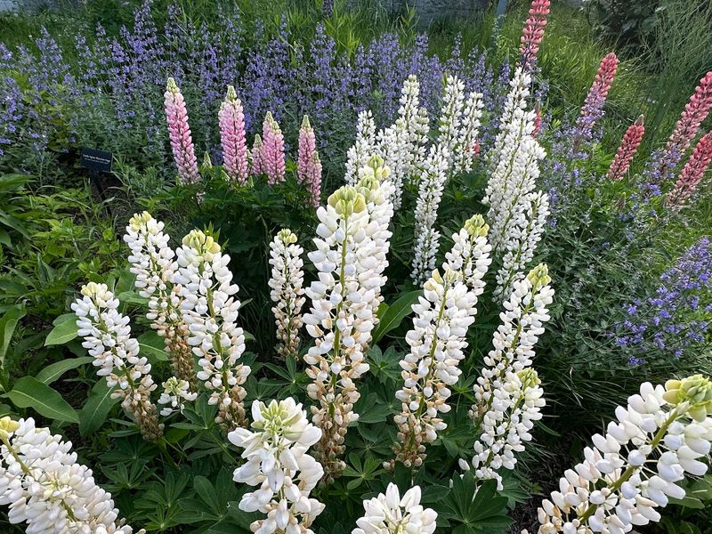 How Much Time To Set Aside For Your Spring Walk