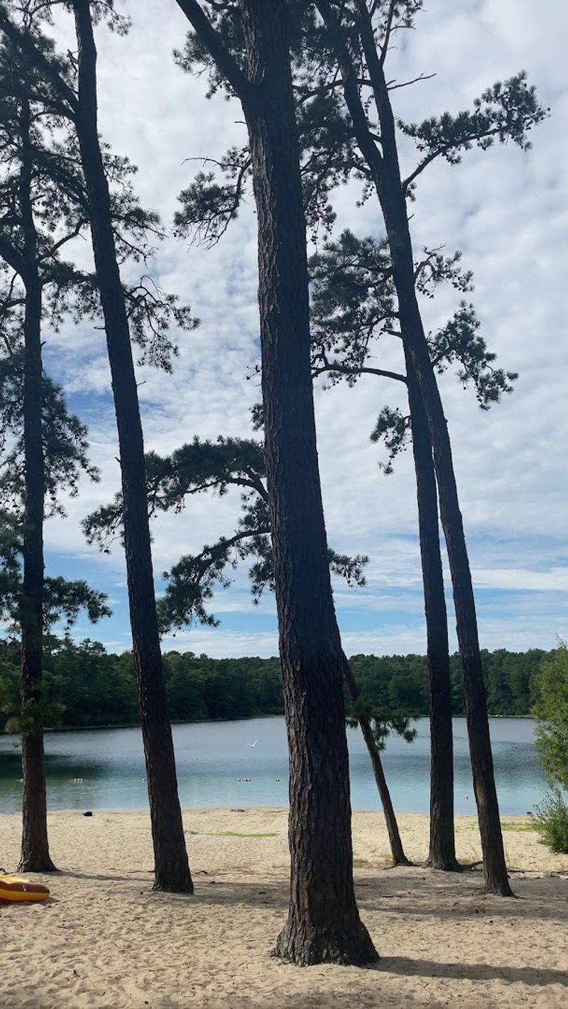 The Surrounding Landscape Is Worth Slowing Down For