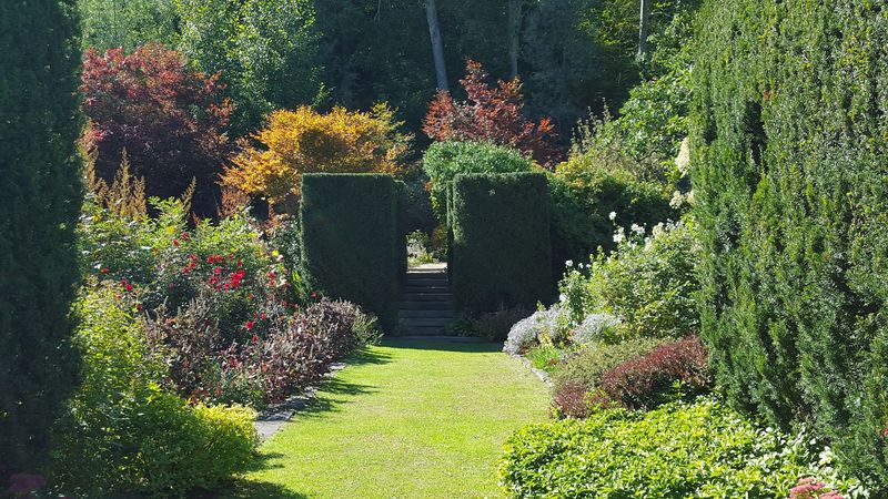 What To Know Before Planning Your Visit