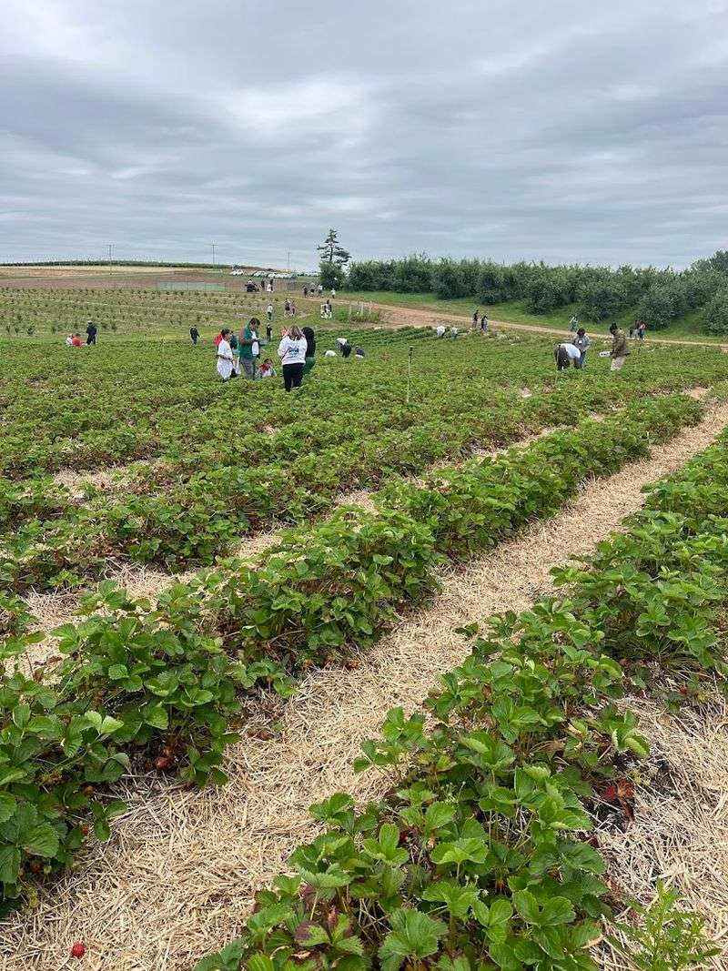 A Fun Farm Day In Middlefield