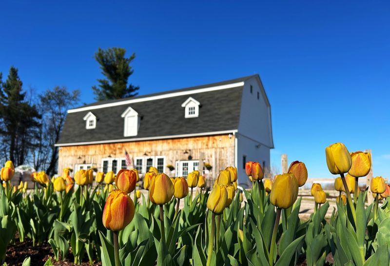 This Connecticut Wildflower Farm Looks Like A Dreamy Meadow You Can Walk Through - Decor Hint A Sweet Stop For A Relaxed Day Out