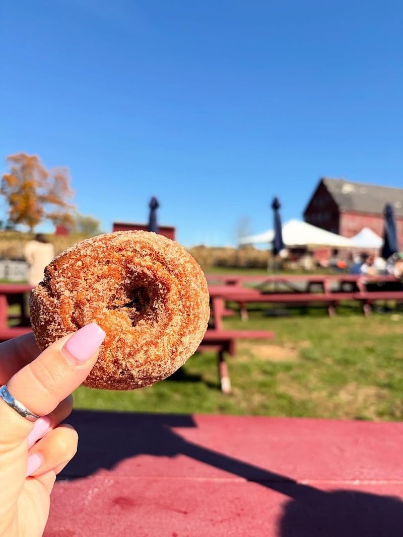Fresh Cider Donuts Are Non-Negotiable