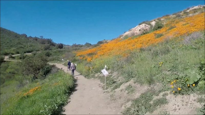 Starting Near Weir Canyon And The Foothill Edge