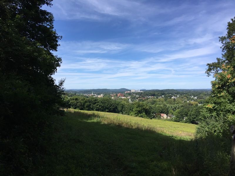 Panoramic Views From The Wooded Hillside