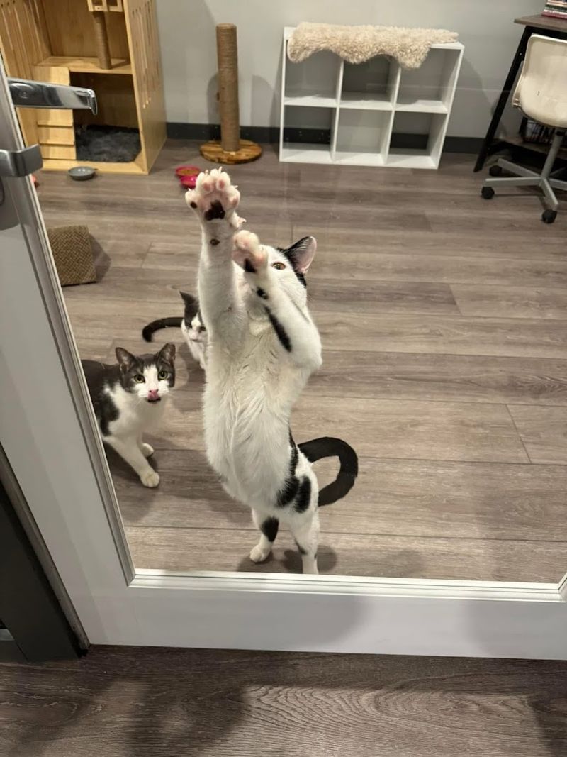 The Cutest Part Of The Experience