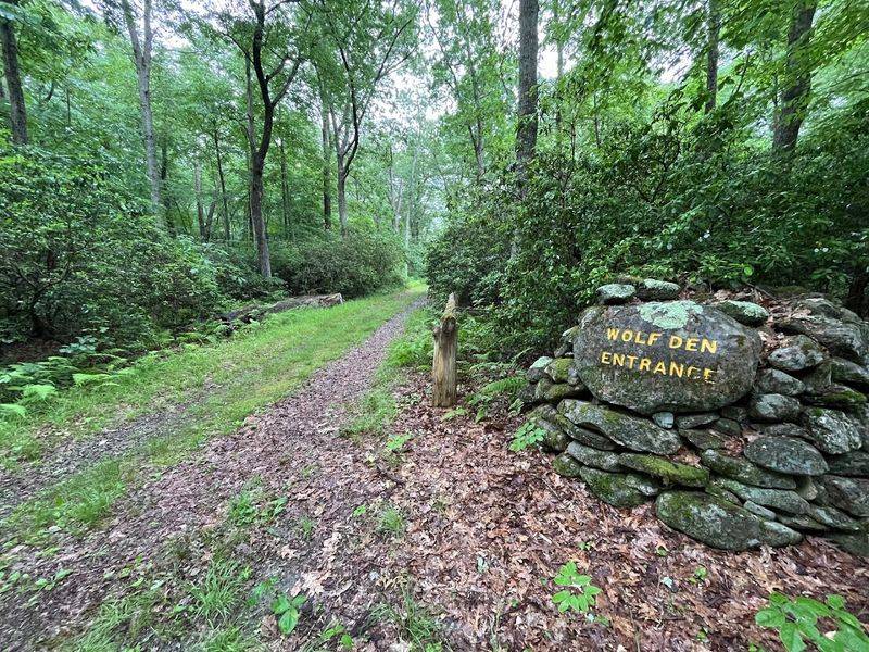 Best Times Of Year To Visit For Scenic Views