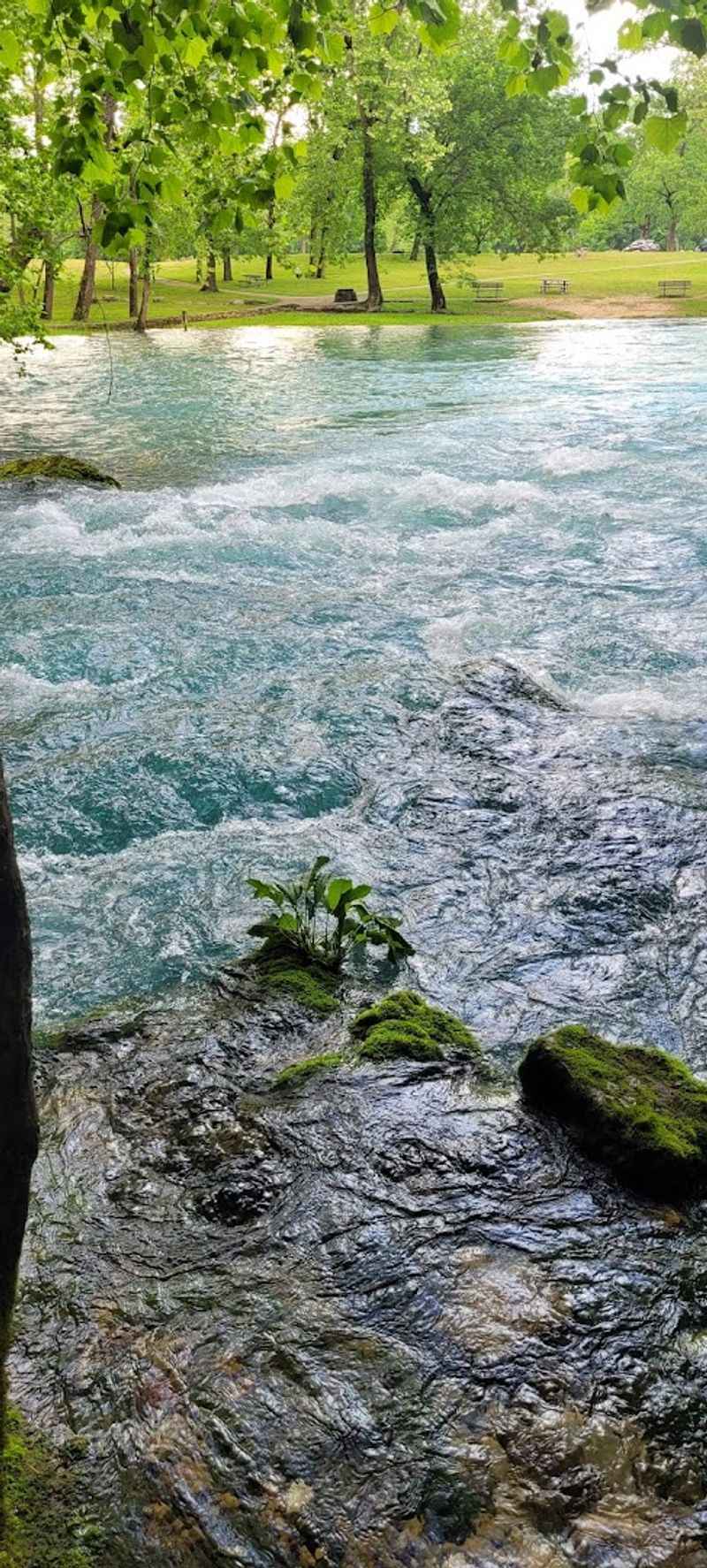 The Wilderness Spring Worth The Short Detour