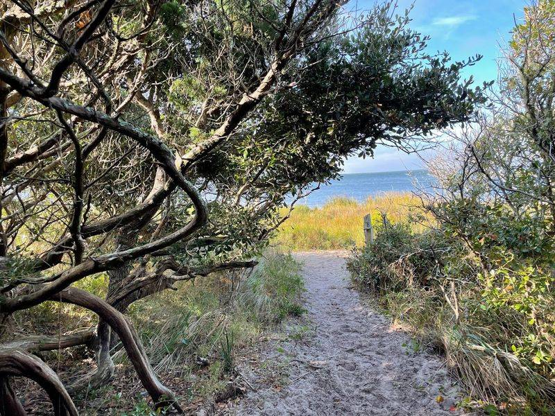 No Trailhead Parking Makes The Beach Feel Even More Secluded