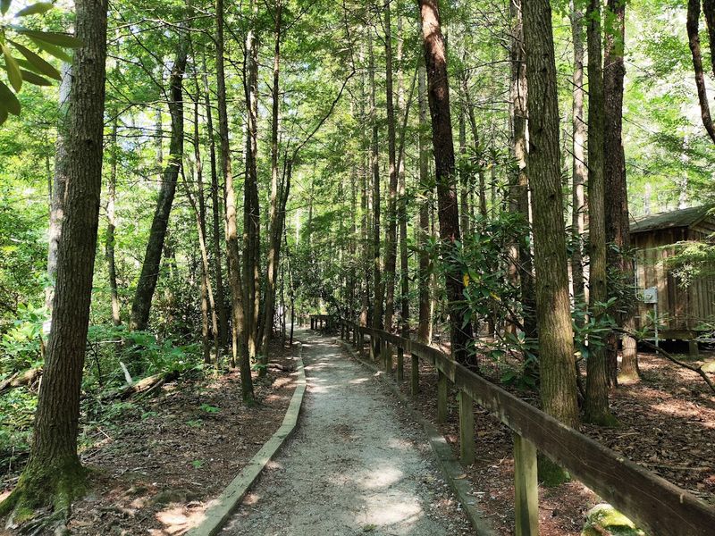 What To Pack For The Hike