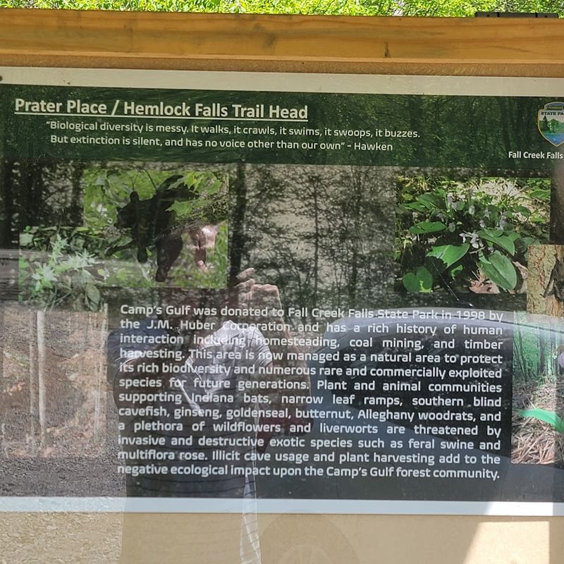 Best Time To Visit The Trail
