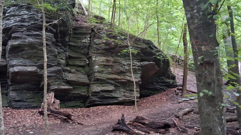 A Trail That Works For Multiple Skill Levels