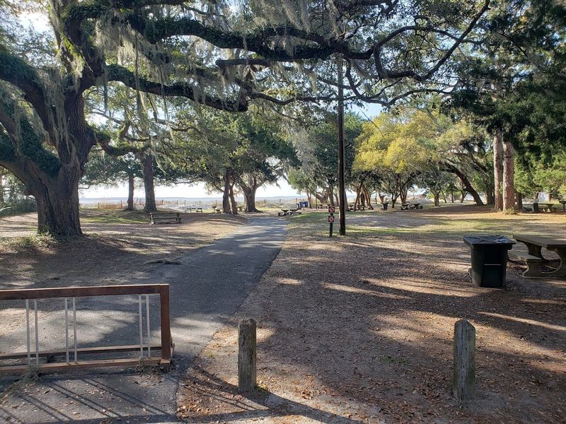 A Peaceful Picnic Area Shaded By Beautiful Live Oaks