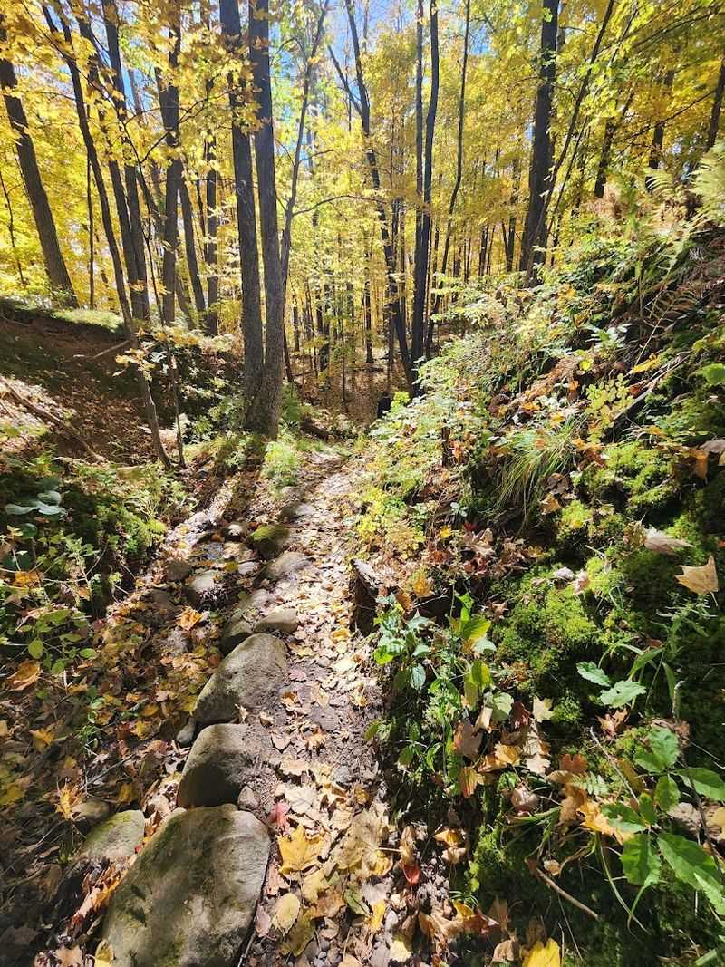 Trails and Biking