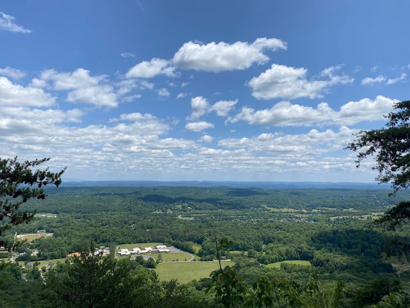 The Scenic Bluff Trail Viewpoints