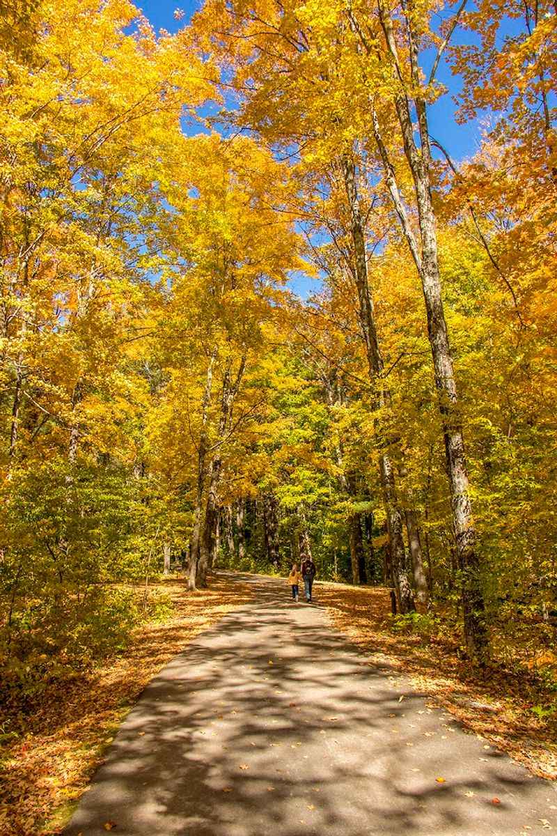 Fall Foliage Here Is A Whole Experience
