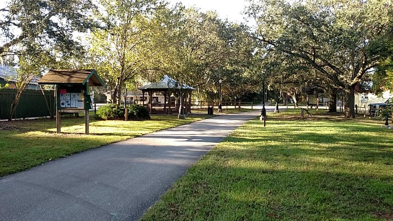 Cool Shade And Classic Florida Scenery