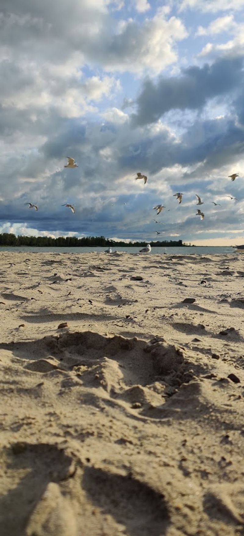 The Dunes Are Worth Exploring On Foot