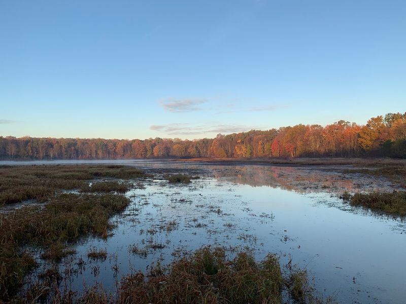 Seasons Shape Every Visit Differently