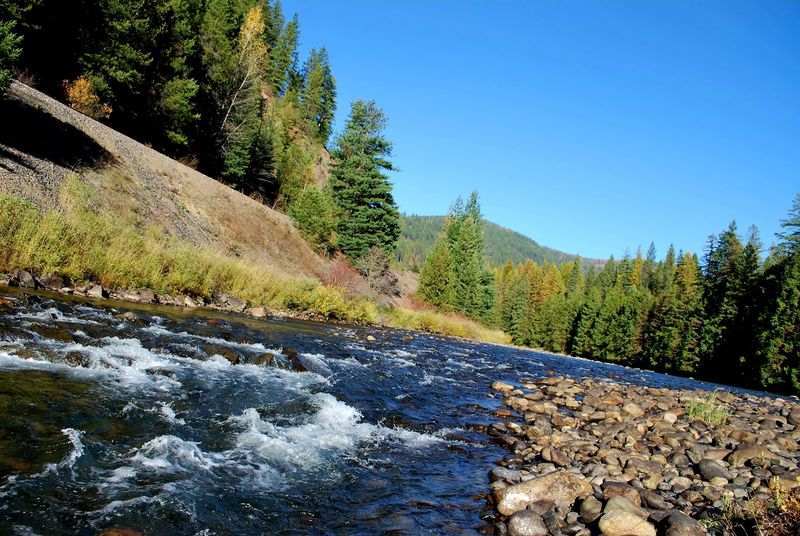 Moyie River Confluence