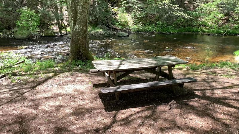 Family-Friendly Hikes And Picnic Spots To Enjoy
