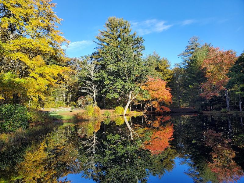 Photography Opportunities You Can't Miss