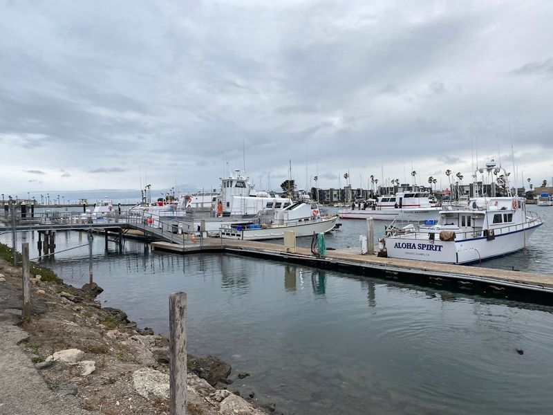 Channel Islands Sportfishing