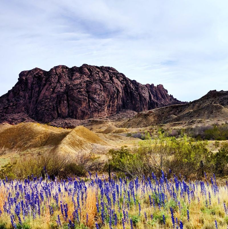 Big Bend National Park