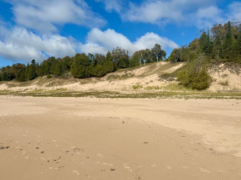 These Wisconsin Parks Offer The Kind Of Nature Escape You Didn't Know You Needed - Decor Hint Whitefish Dunes State Park