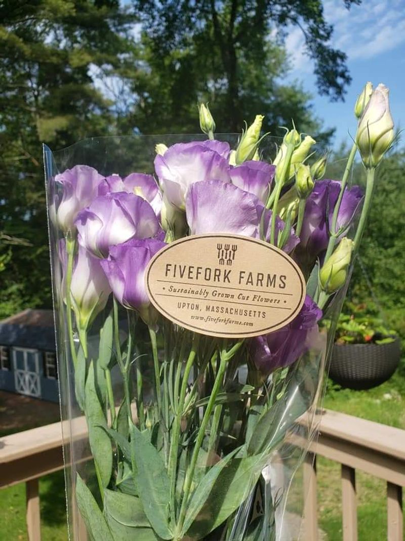 Fivefork Farms