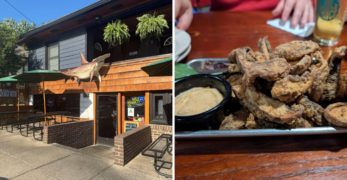 Wing Lovers This Louisville Kentucky Dive Bar Serves Citys Most Famous Smoked Wings - Decor Hint
