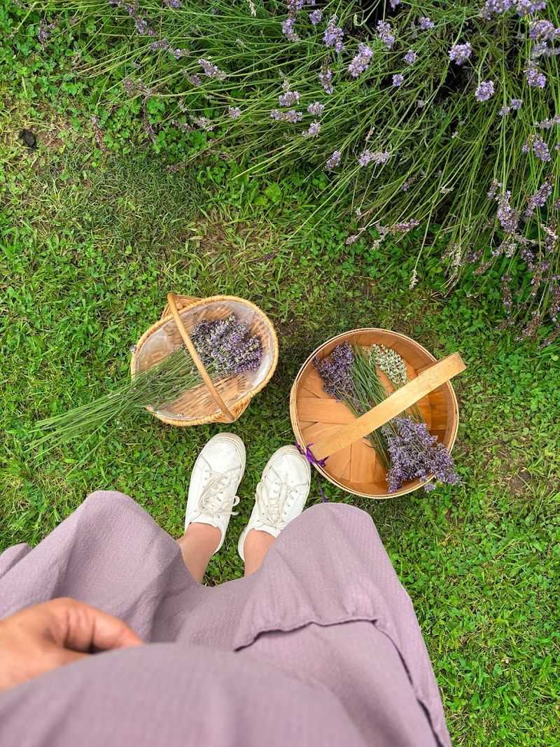 Birthday Celebrations With a Botanical Twist