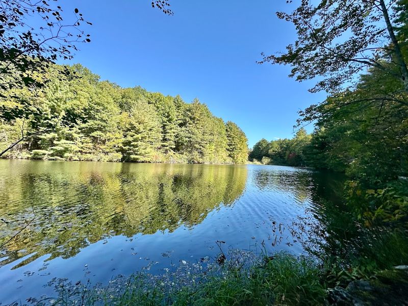 Case Pond And Natural Spots Along The Way