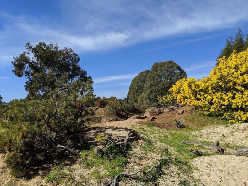 UC Santa Cruz Arboretum and Botanic Garden