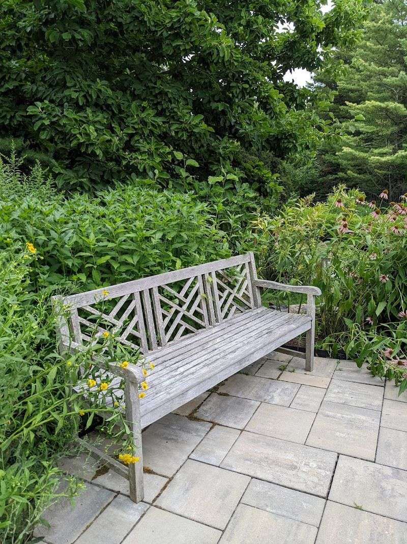 A Botanical Escape Without The Crowds