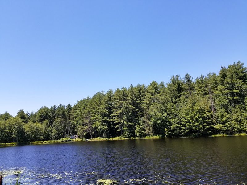 The Catskills